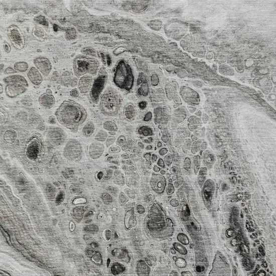 Pewter Gray And Silver Abstract Washable Indoor Outdoor Area Rug Photo 3