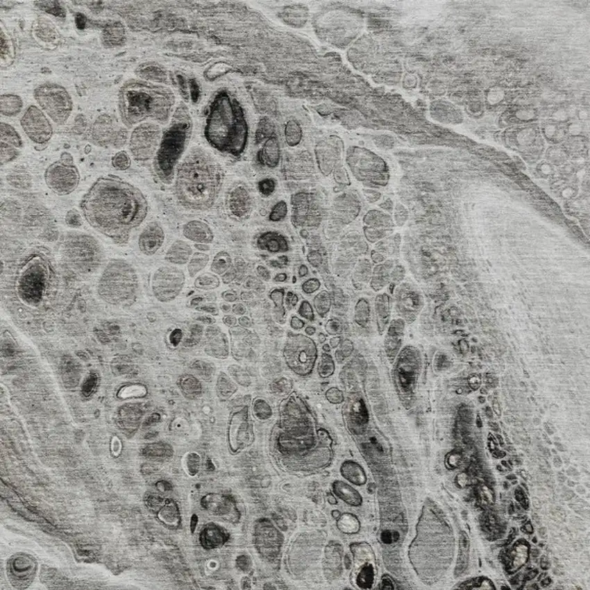 Pewter Gray And Silver Abstract Washable Indoor Outdoor Area Rug Photo 3