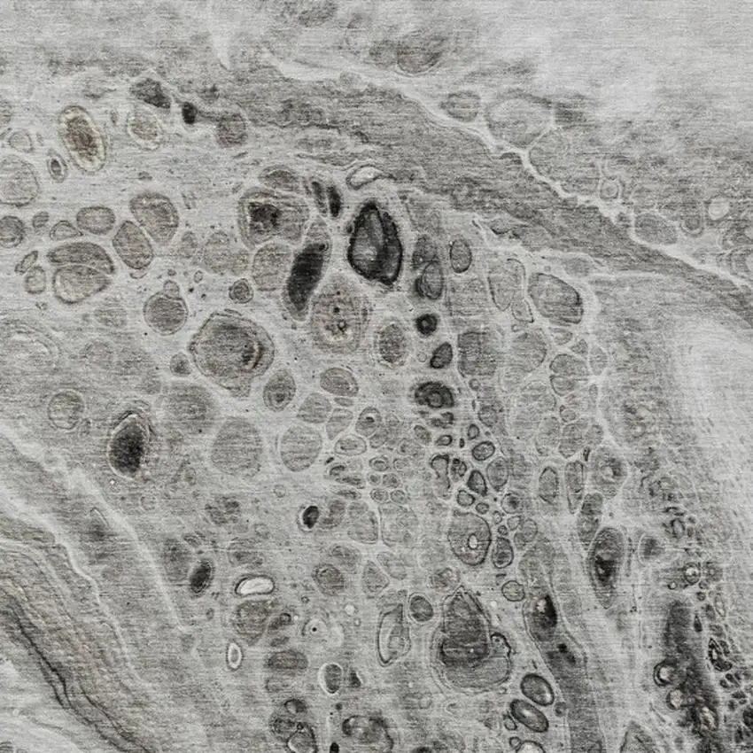 Pewter Gray And Silver Abstract Washable Indoor Outdoor Area Rug Photo 3