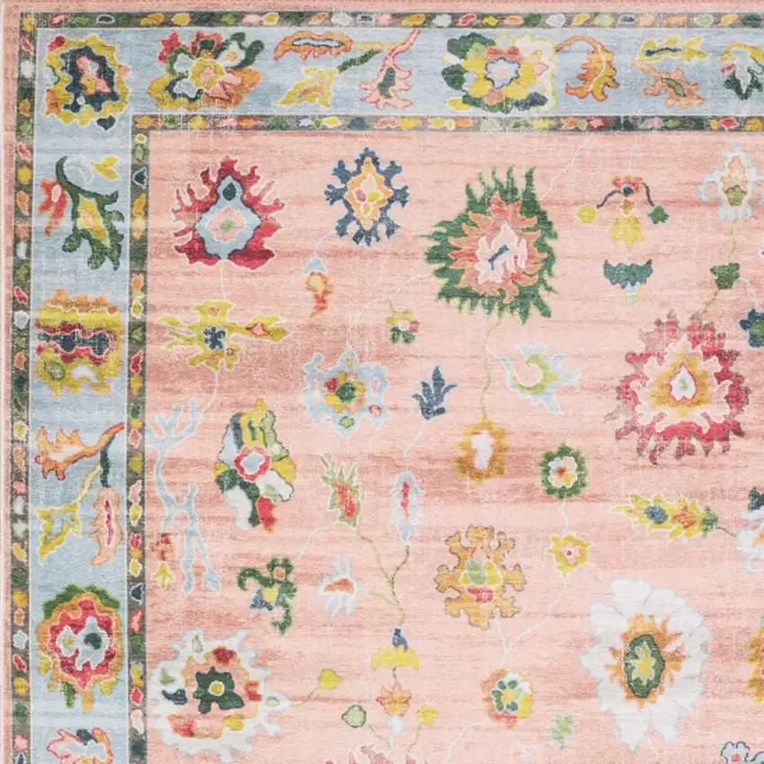 Pink And Blue Oriental Washable Area Rug Photo 3
