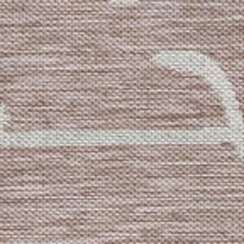 Pink And Cream Animal Print Indoor Outdoor Area Rug Photo 2