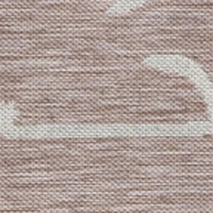 Pink And Cream Animal Print Indoor Outdoor Area Rug Photo 2