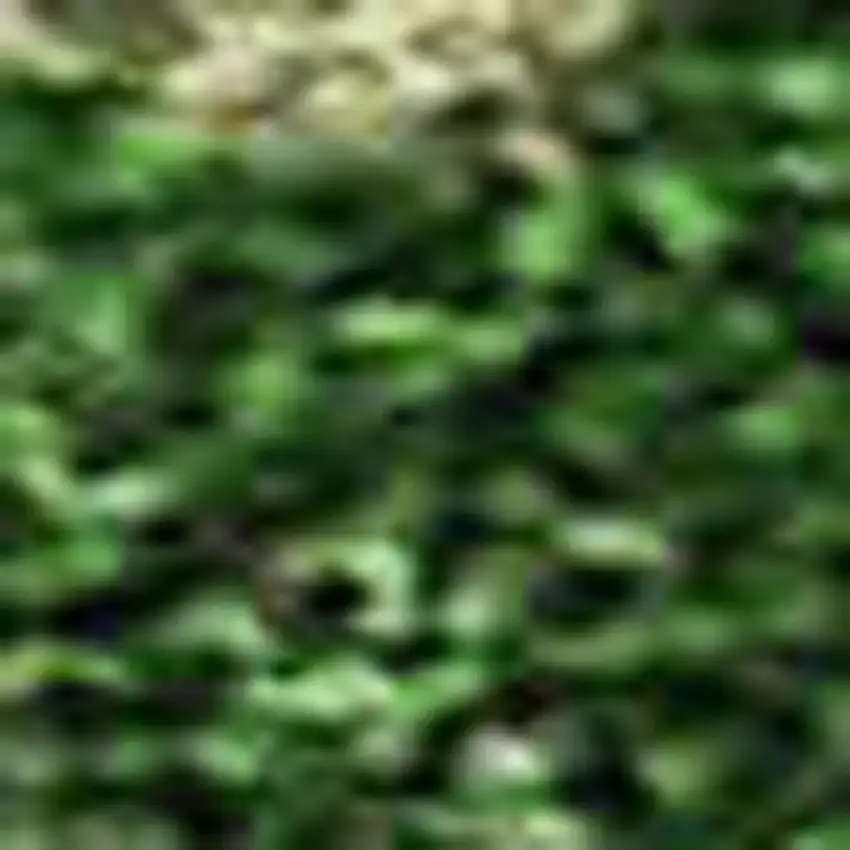 Pink And Emerald Abstract Washable Area Rug With UV Protection Photo 2