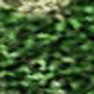 Photo of Pink And Emerald Abstract Washable Area Rug With UV Protection