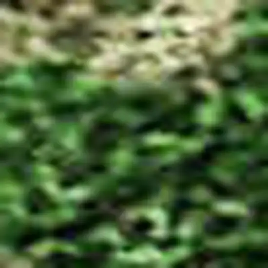 Pink And Emerald Abstract Washable Area Rug With UV Protection Photo 2