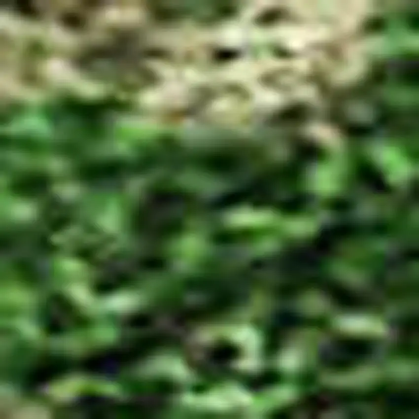 Pink And Emerald Abstract Washable Area Rug With UV Protection Photo 2