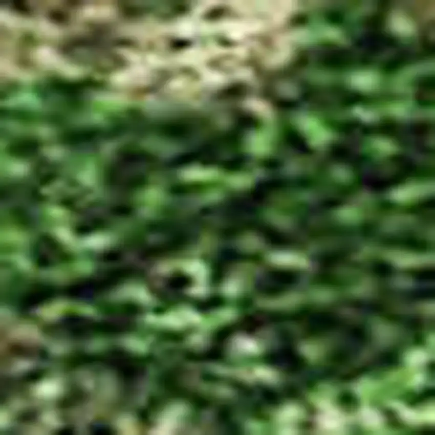 Pink And Emerald Abstract Washable Area Rug With UV Protection Photo 3