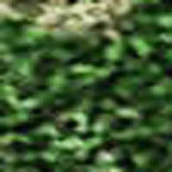 Pink And Emerald Abstract Washable Area Rug With UV Protection Photo 2