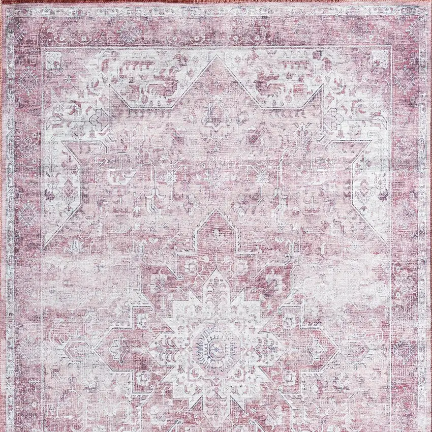 Pink And Ivory Floral Distressed Area Rug Photo 9