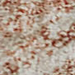 Photo of Pink And Ivory Geometric Washable Area Rug With UV Protection