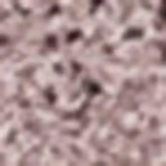 Pink Area Rug Photo 4