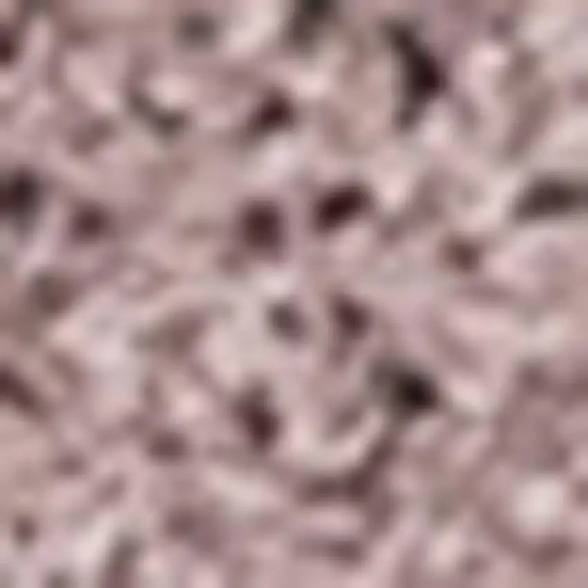 Pink Area Rug Photo 4