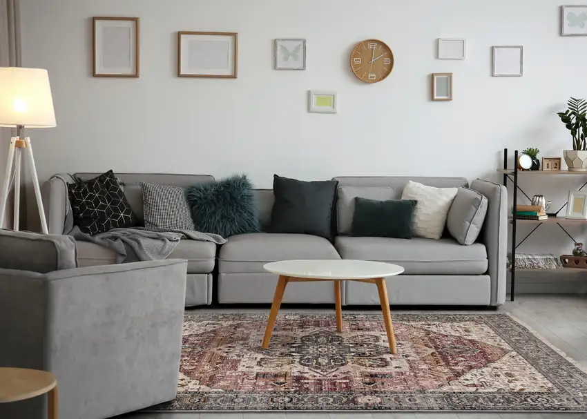 Pink Cream And Gray Medallion Area Rug Photo 5