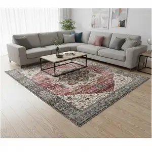 Photo of Pink Cream And Gray Medallion Area Rug