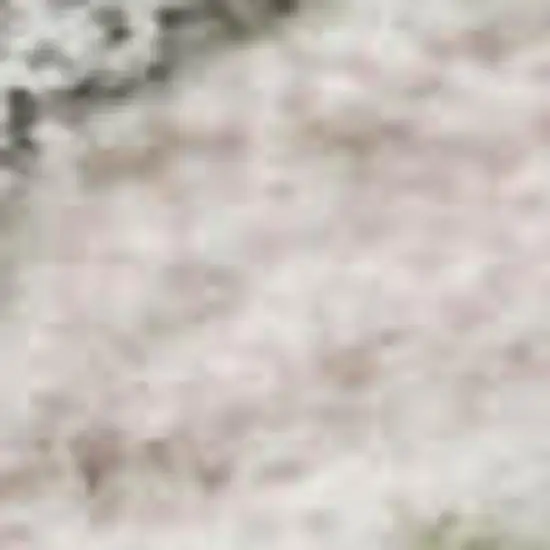 Pink Ivory And Gray Floral Washable Area Rug With UV Protection Photo 2