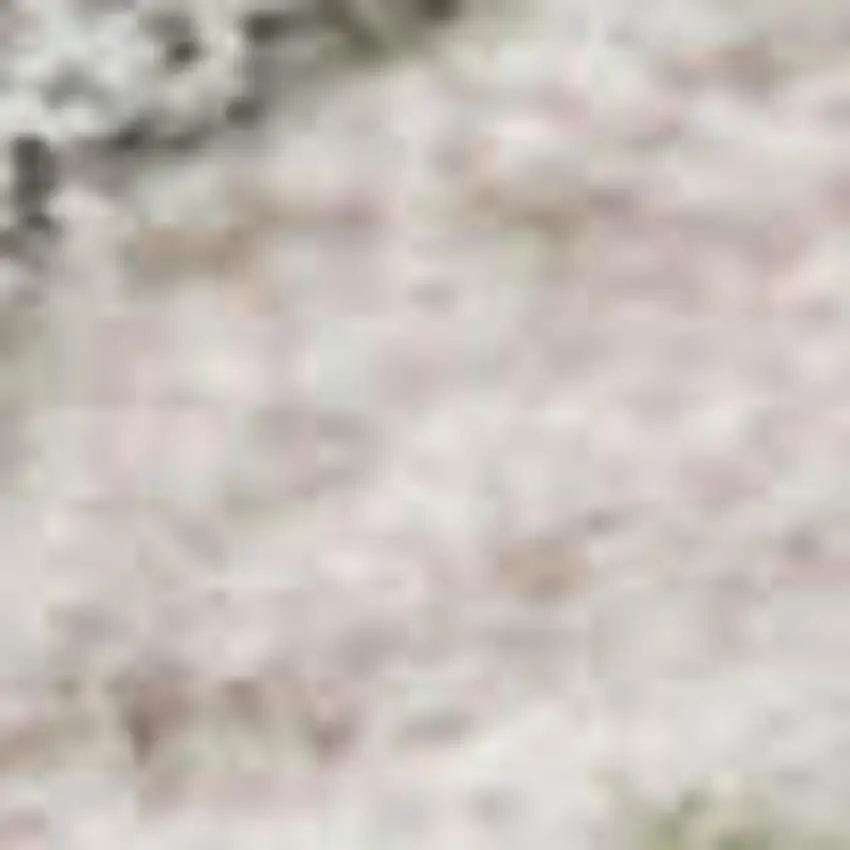 Pink Ivory And Gray Floral Washable Area Rug With UV Protection Photo 2