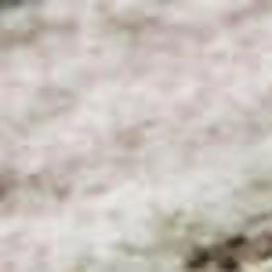 Pink Ivory And Gray Floral Washable Area Rug With UV Protection Photo 2