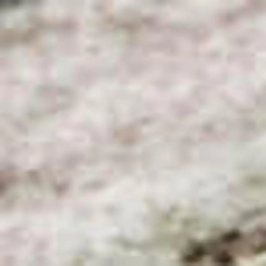 Pink Ivory And Gray Floral Washable Area Rug With UV Protection Photo 2