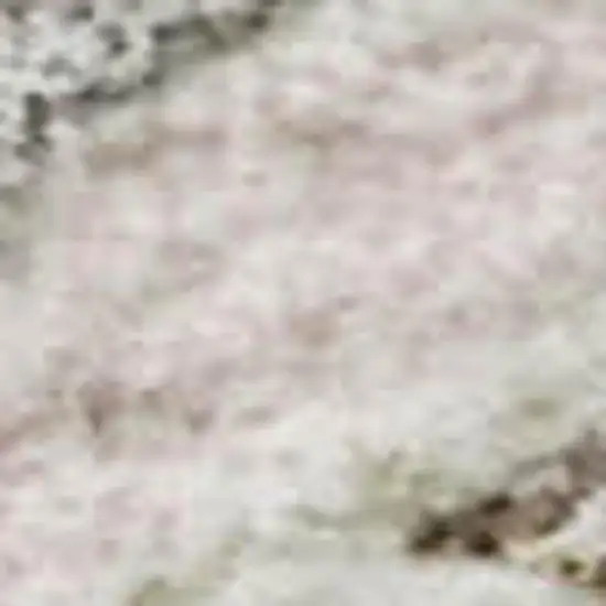 Pink Ivory And Gray Floral Washable Area Rug With UV Protection Photo 2