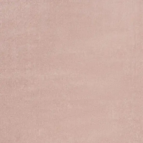 Pink Indoor Outdoor Area Rug Photo 6