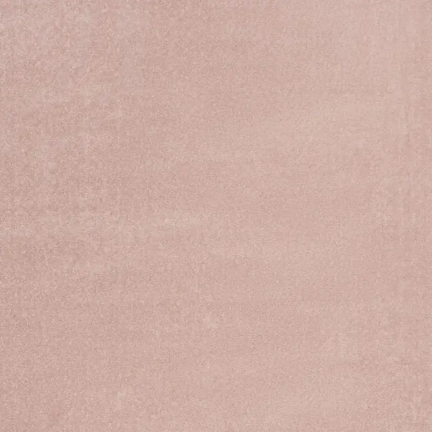 Pink Indoor Outdoor Area Rug Photo 6