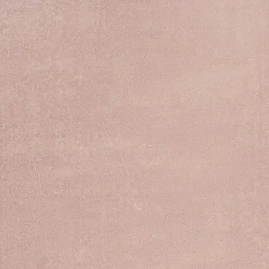 Pink Indoor Outdoor Area Rug Photo 6