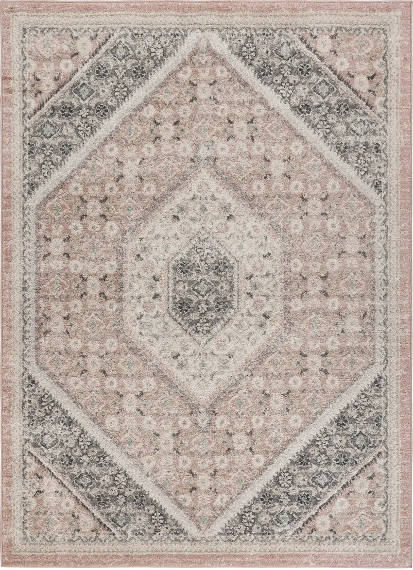 Pink and Cream Medallion Area Rug Photo 4