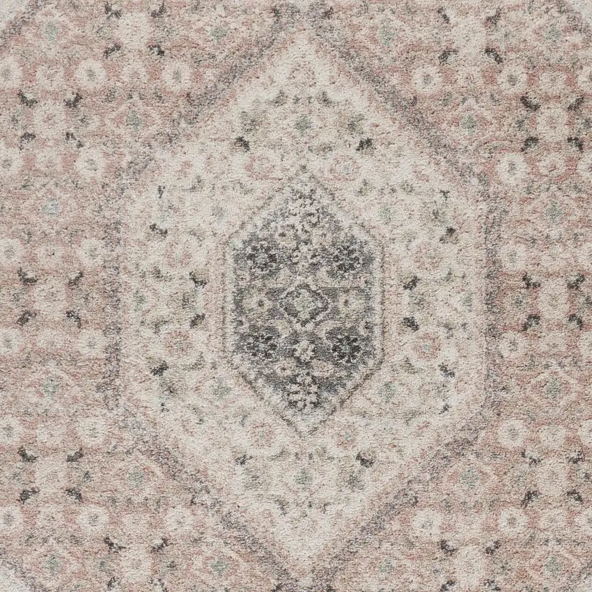Pink and Cream Medallion Area Rug Photo 8