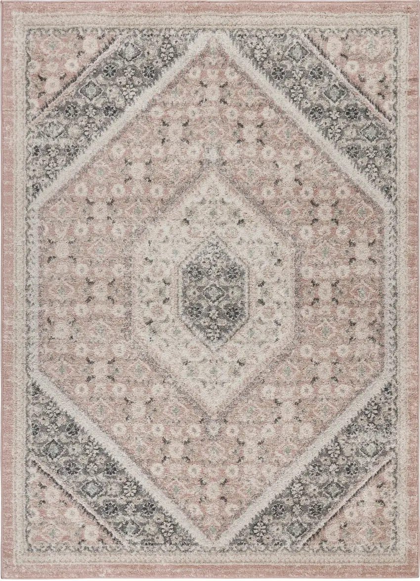 Pink and Cream Medallion Area Rug Photo 2