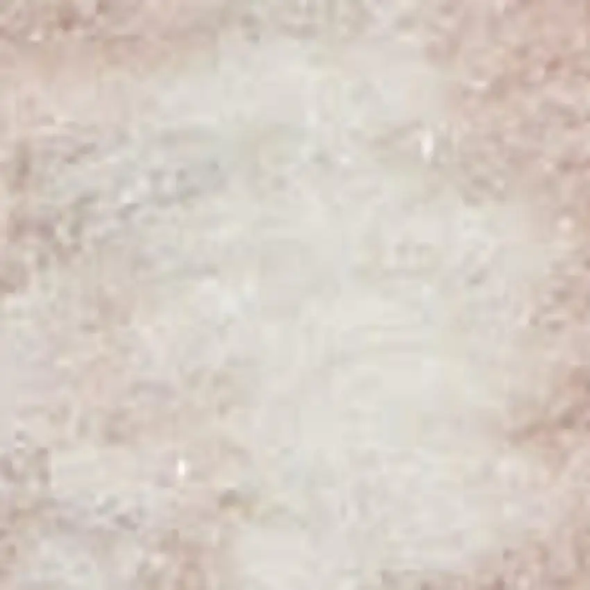 Pink and Ivory Floral Distressed Non Skid Area Rug Photo 3