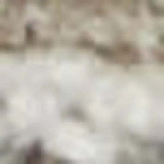 Pink and Ivory Floral Power Loom Area Rug Photo 3