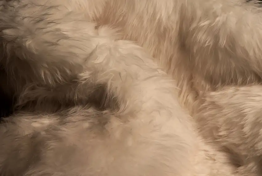 Platinum New Zealand Lambs Wool Handmade Area Rug Photo 9