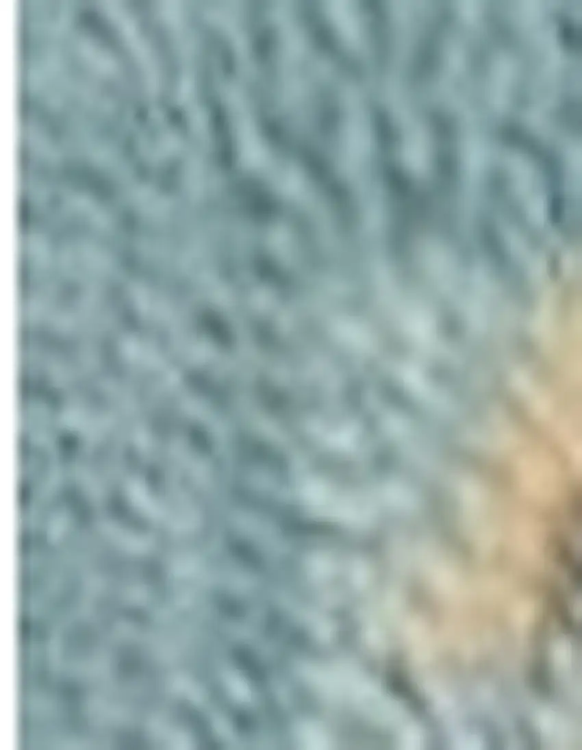 Blue Hand Tufted Area Rug Photo 7