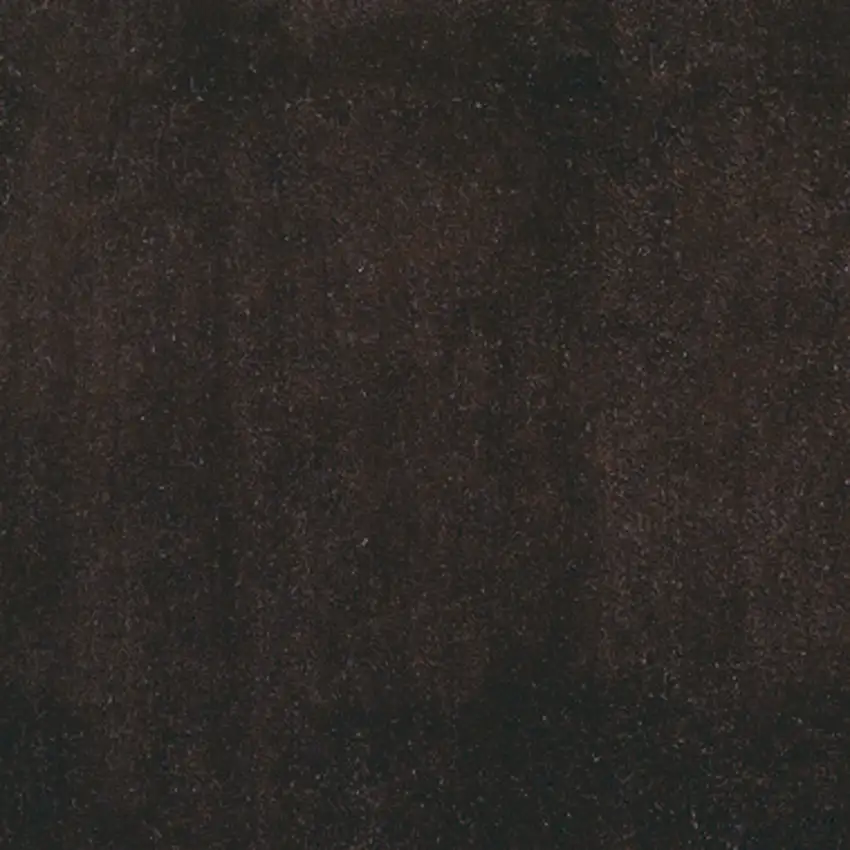 Polyester Espresso Area Rug Photo 3