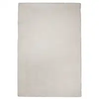 Photo of Polyester Ivory Area Rug