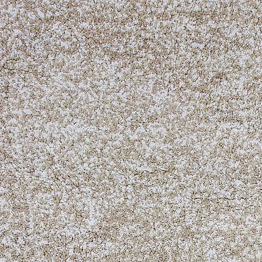 Polyester Ivory Heather Area Rug Photo 2