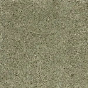 Photo of Polyester Sage Area Rug