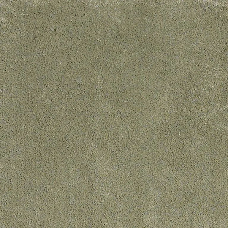 Polyester Sage Area Rug Photo 1
