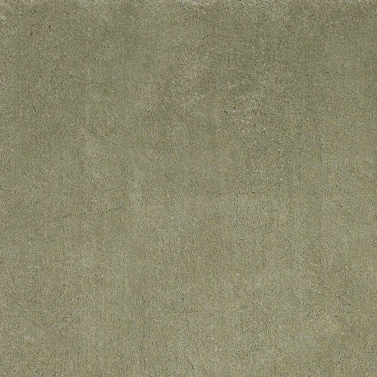 Polyester Sage Area Rug Photo 2