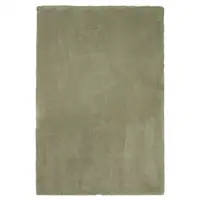 Photo of Polyester Sage Area Rug