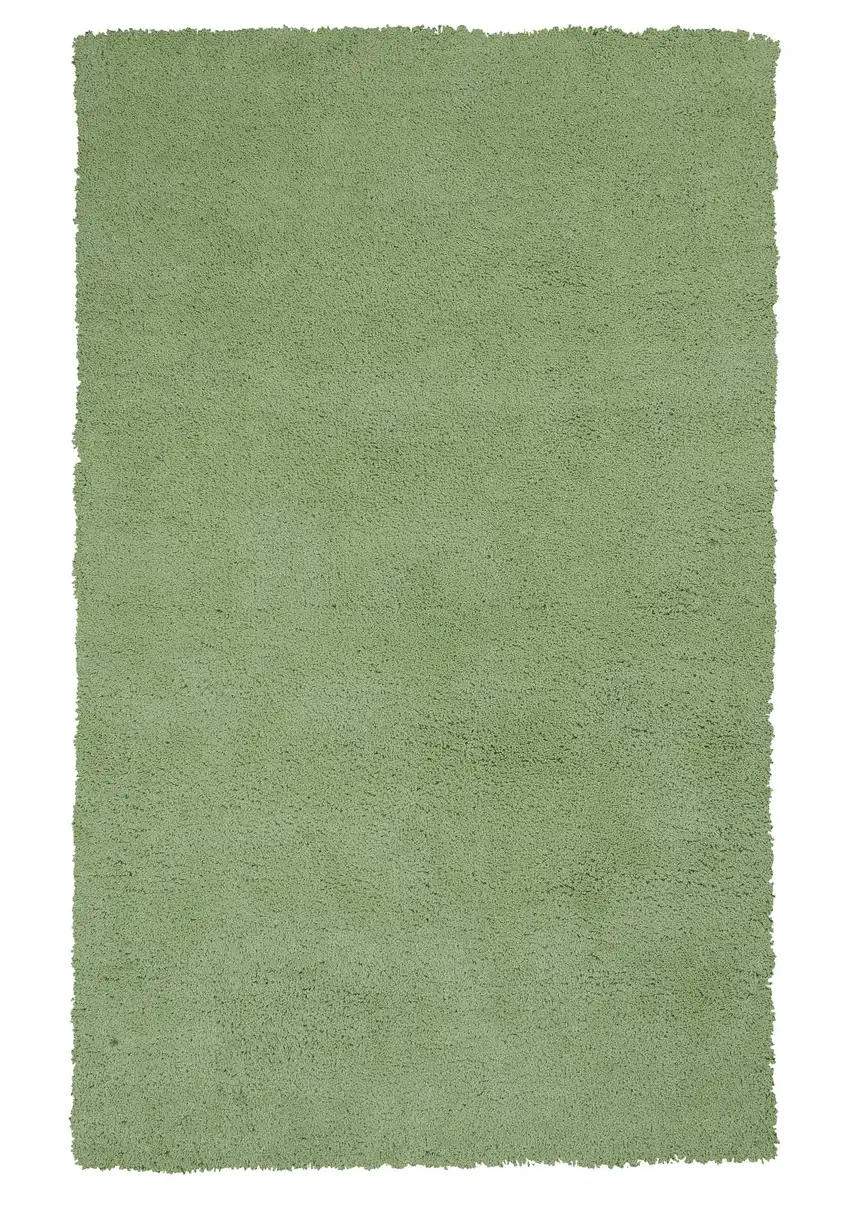 Polyester Spearmint Green Area Rug Photo 1