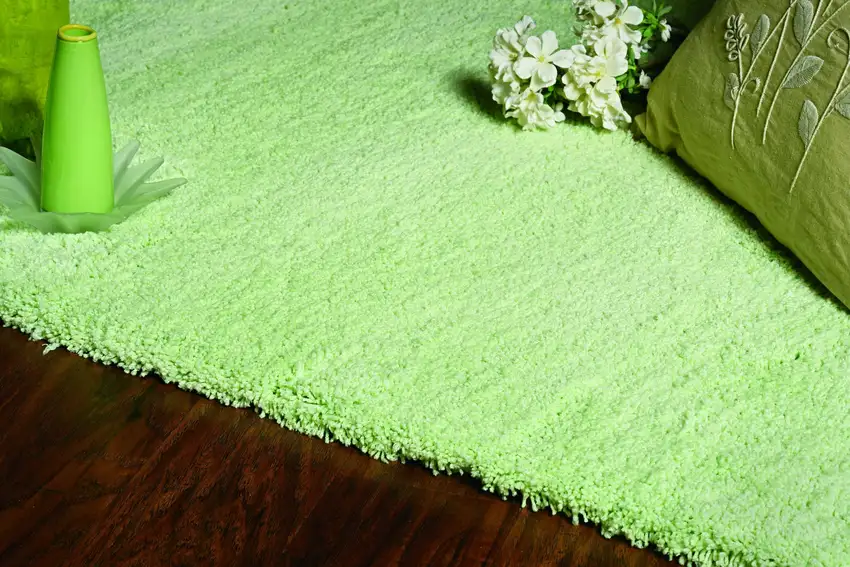 Polyester Spearmint Green Area Rug Photo 2