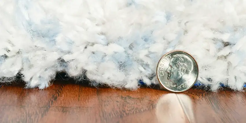Polypropylene Ivory or Blue Area Rug Photo 6