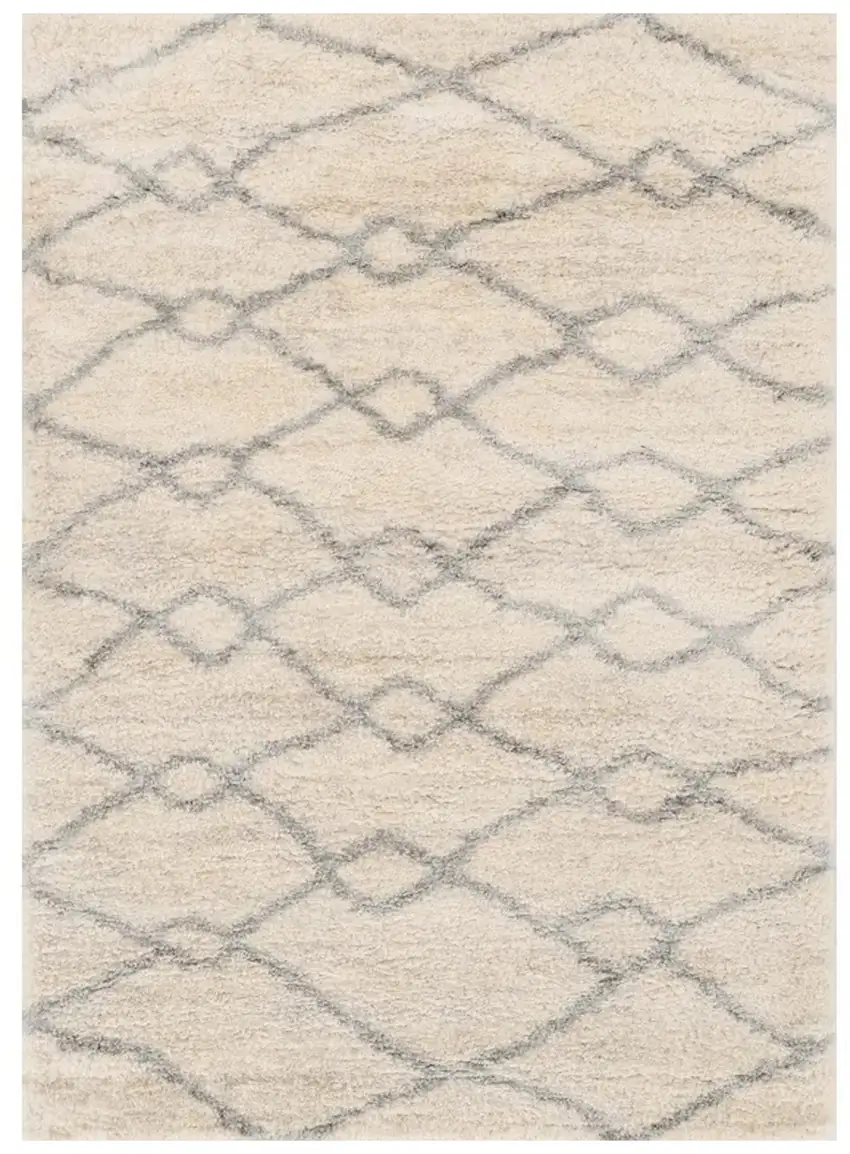 Gray and Ivory Area Rug Photo 2