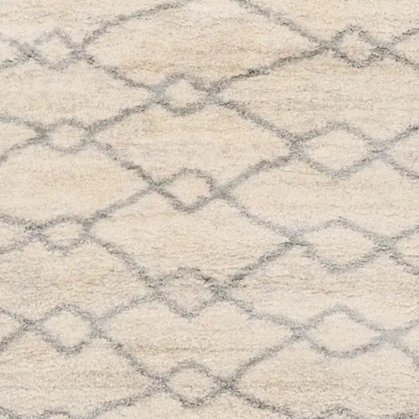 Gray and Ivory Area Rug Photo 5