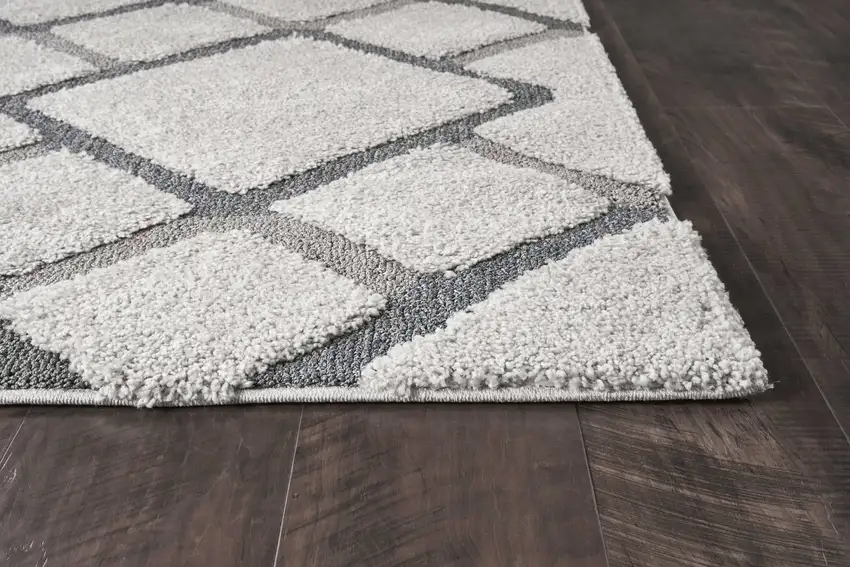 Polypropylene Natural Area Rug Photo 3