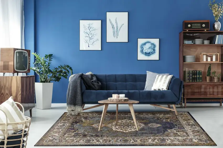 Polypropylene Navy Area Rug Photo 5