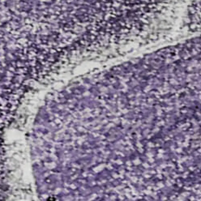 Purple And Ivory Abstract Washable Area Rug With UV Protection Photo 4