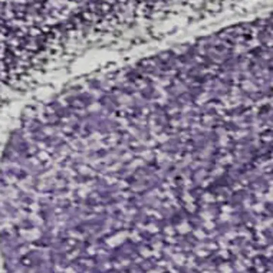 Purple And Ivory Abstract Washable Area Rug With UV Protection Photo 4