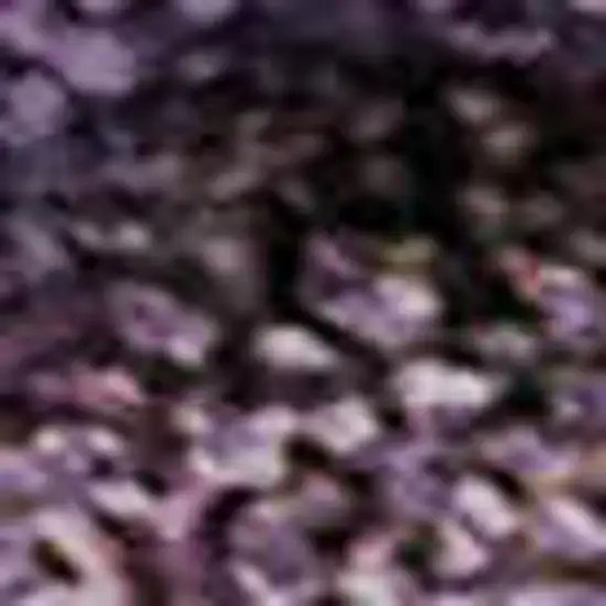 Purple And Ivory Abstract Washable Area Rug With UV Protection Photo 4